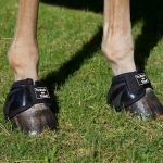 Back On Track Performance Bell / Overreach Boots - Pair